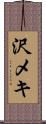 沢メキ Scroll