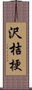 沢桔梗 Scroll