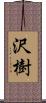 沢樹 Scroll