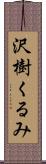 沢樹くるみ Scroll