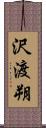 沢渡朔 Scroll