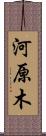 河原木 Scroll