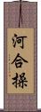 河合操 Scroll