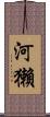 河獺 Scroll