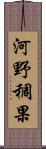 河野稠果 Scroll