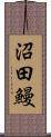 沼田鰻 Scroll