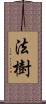 法樹 Scroll