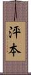 泙本 Scroll