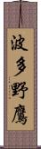 波多野鷹 Scroll
