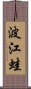 波江蛙 Scroll