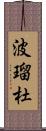 波瑠杜 Scroll