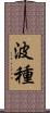 波種 Scroll