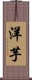 洋芋 Scroll