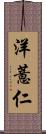 洋薏仁 Scroll