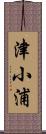 津小浦 Scroll