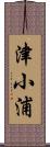 津小浦 Scroll