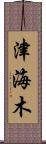 津海木 Scroll