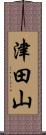 津田山 Scroll