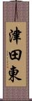 津田東 Scroll