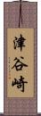 津谷崎 Scroll