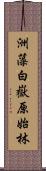 洲藻白嶽原始林 Scroll