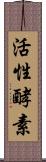 活性酵素 Scroll