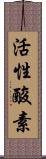 活性酸素 Scroll