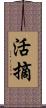 活摘 Scroll