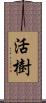 活樹 Scroll