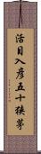 活目入彦五十狭茅 Scroll