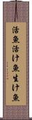活魚 Scroll