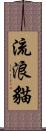 流浪貓 Scroll
