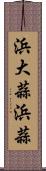 浜大蒜 Scroll