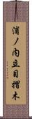 浦ノ内立目摺木 Scroll