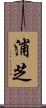 浦芝 Scroll