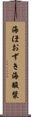 海ほおずき Scroll