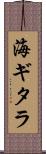 海ギタラ Scroll