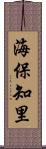 海保知里 Scroll