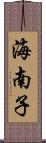 海南子 Scroll