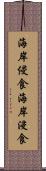 海岸侵食 Scroll