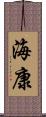 海康 Scroll