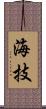 海技 Scroll