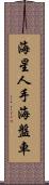 海星 Scroll