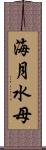 海月 Scroll
