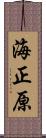海正原 Scroll