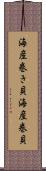 海産巻き貝 Scroll