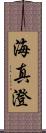 海真澄 Scroll