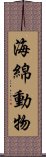 海綿動物 Scroll