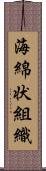 海綿状組織 Scroll