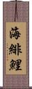 海緋鯉 Scroll